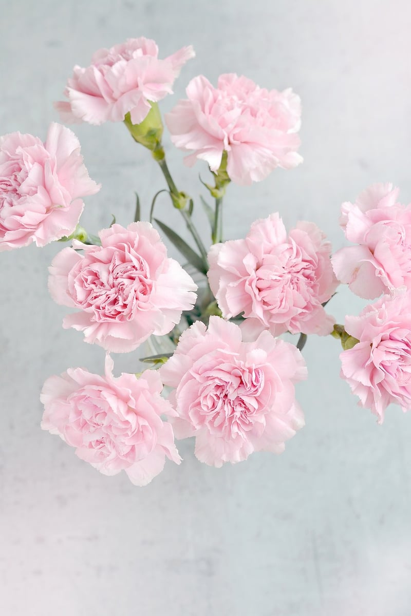 Flower Arrangement
